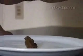 Girls - the best scat dumping moments, Lesbian, Shit