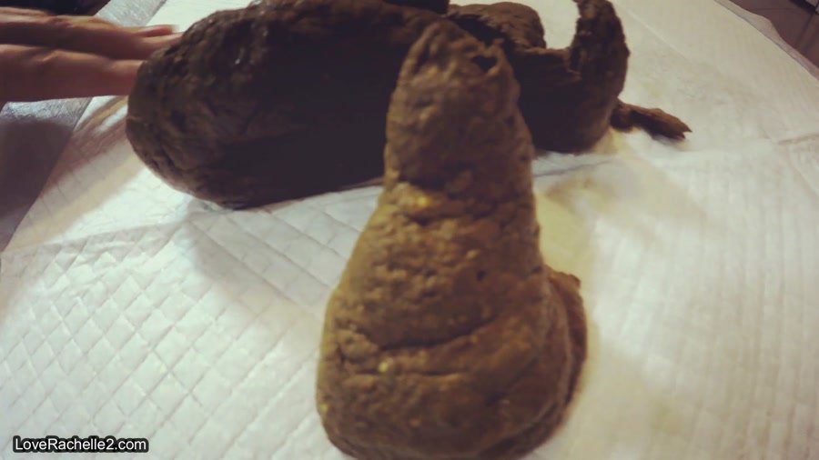 Download LoveRachelle2 - Turd Cutter Series… Shit Showoff: Part 8, Extreme Scat, Scatology ShitWorld.net