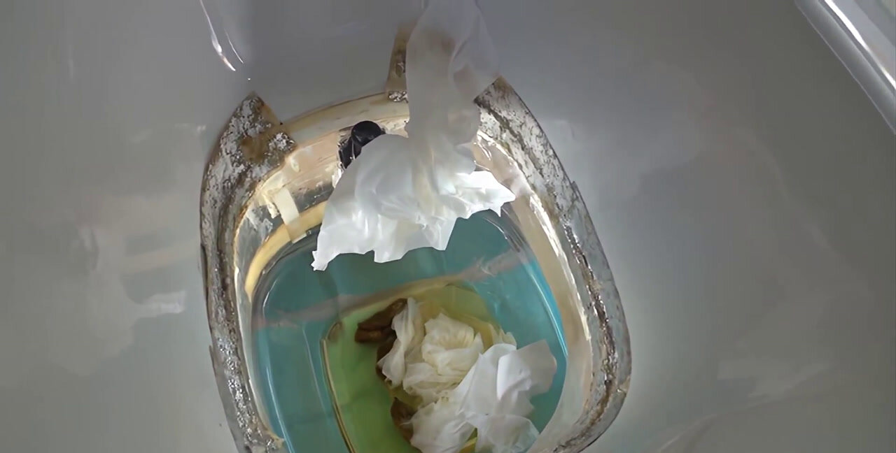 RAI-014 - Premium Married Women The Forbidden First Poop, Shitting, Scatting