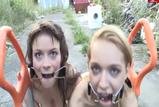 Lolicoon - Ring-gag slaves Quality, Piss, Enema