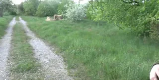 Young-Devotion - Dirty Männertag 11 05 16 NO ORIGINAL, German, Blowjob