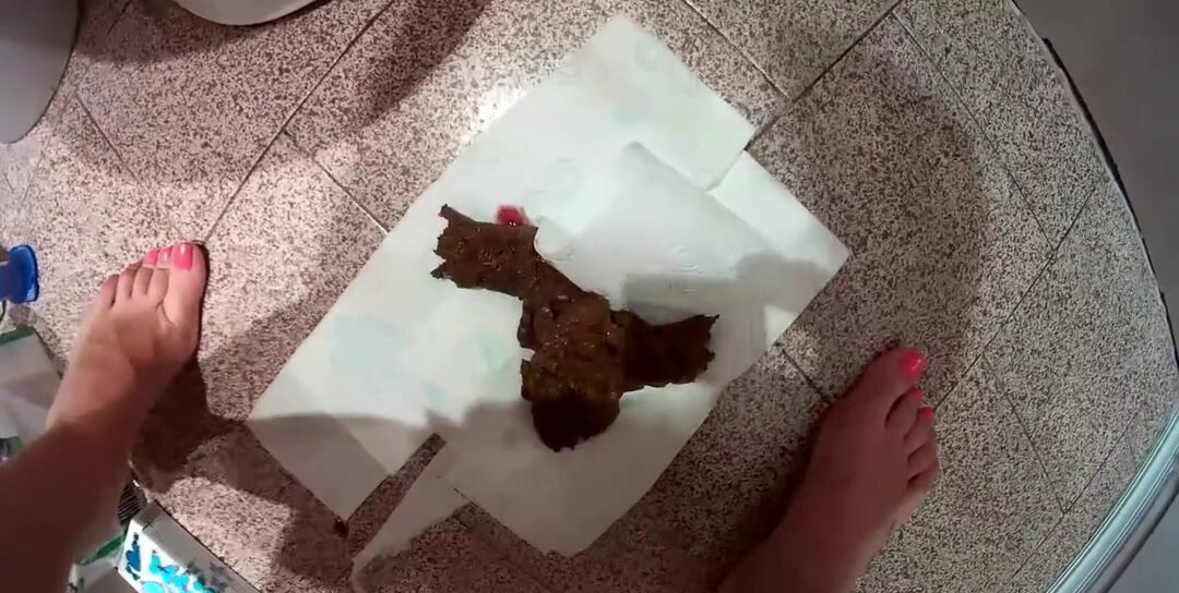 Download Poo - The woman filmed a video of them shitting for 7 days, Pee, Farting ShitWorld.net