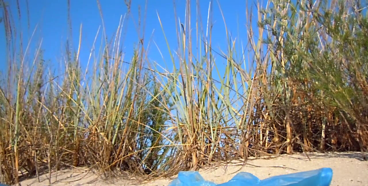 Download Outdoor Poop - Woman shits on a sandy beach, Big Pile, Slap ShitWorld.net