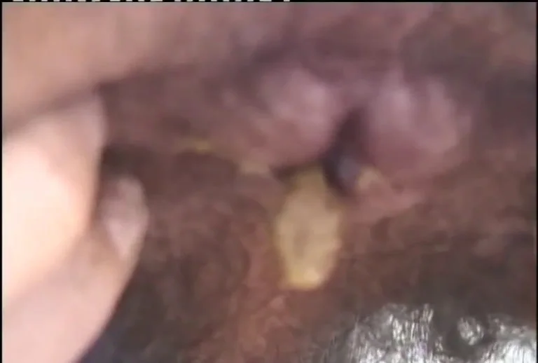 Download Mistress Gaia - Perverted Scat Sex - Brazil2-Shd - 2017, Vomit, Poo ShitWorld.net