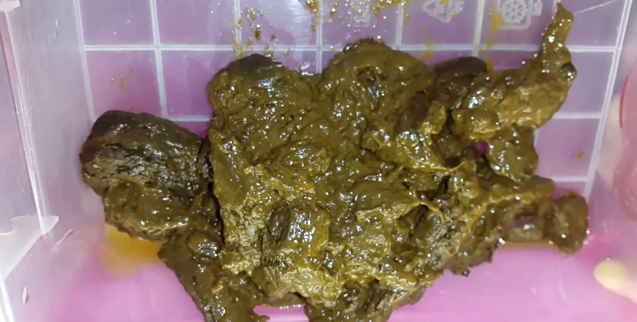 Download Anna Coprofield - 5 Shit for Freezing, Defecation, Solo ShitWorld.net
