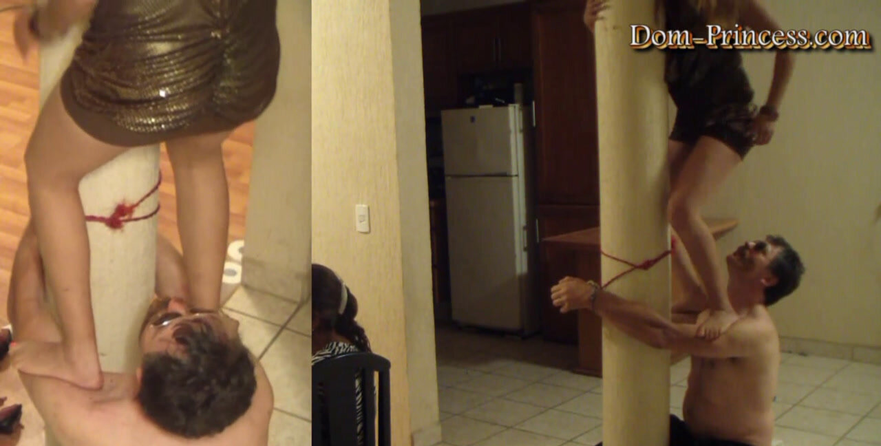 Download Sharlene - The Slave Climing Poop Set Part 3, Humiliation, Bondage ShitWorld.net