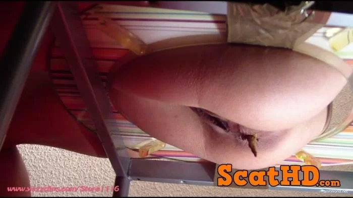 4 Scat Girls - The Human Toilet Point of View FullHD / 1.28 GB