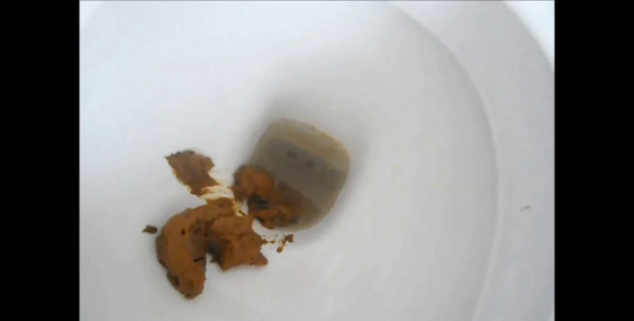 Elena - Shitting Girls, Solo, Scatting