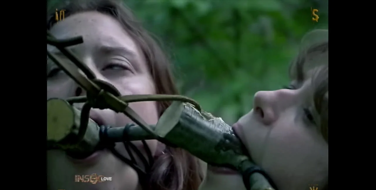 Download Tyler Scot, 411 - Bondage Duo, Dildo, Outdoor ShitWorld.net