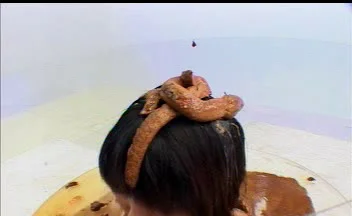 Download Japanese Bitch - Japan Scat Gameshow, Dogma, Vomit Porn, Prolapse ShitWorld.net