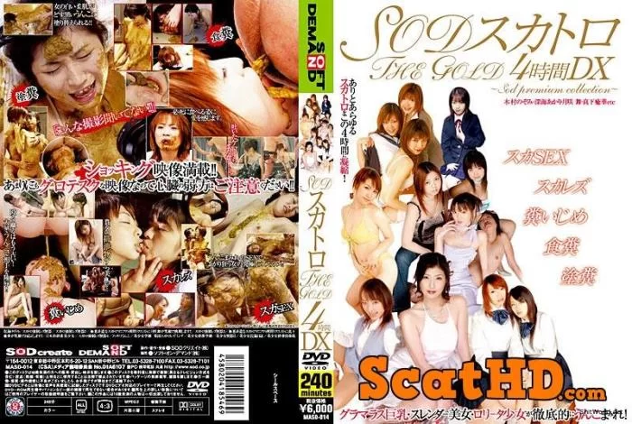 Nozomi Kimura - THE GOLD DX scatology SOD for 4 hours DVDRip / 3.94 GB