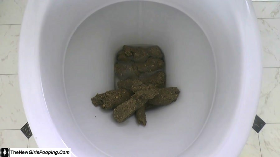 PooAlina - Alina Long Endures And Bombs The Mouth Of The Toilet Slave, Femdom Scat