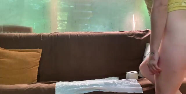 Princesskazer - Cabin Couch 1, Defecation, Poop