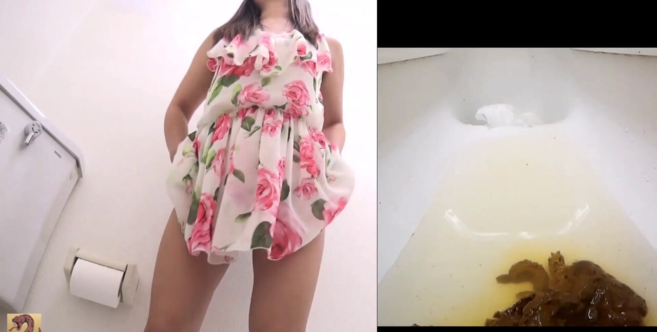 Farting - Toilet Bowl Pretty Favourites - Volume 3, Scat, Piss