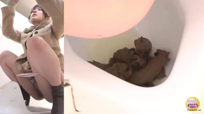 SPY CAM Spectacular Pooping Views of the Public Toilet PART-3 FullHD 1080p / 1.33 GB