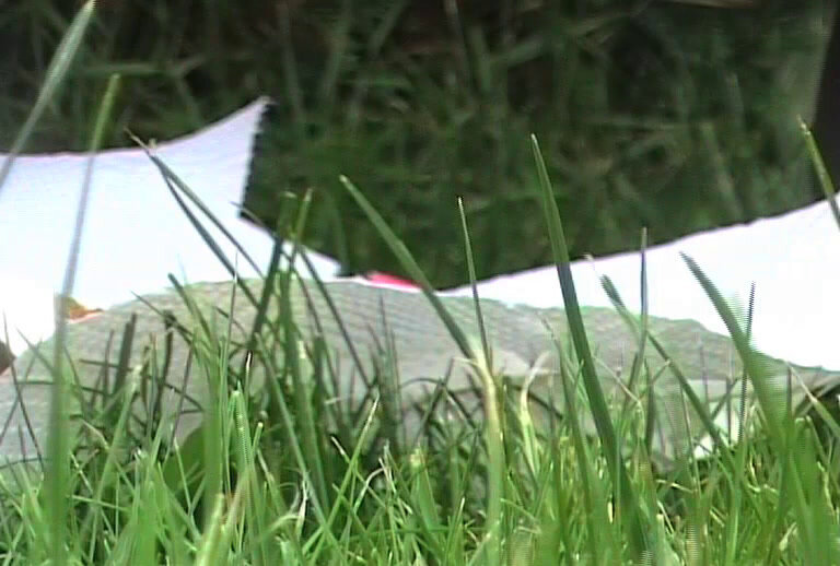 Defecation - Woman pees and shits on the green grass, Poop, Solo