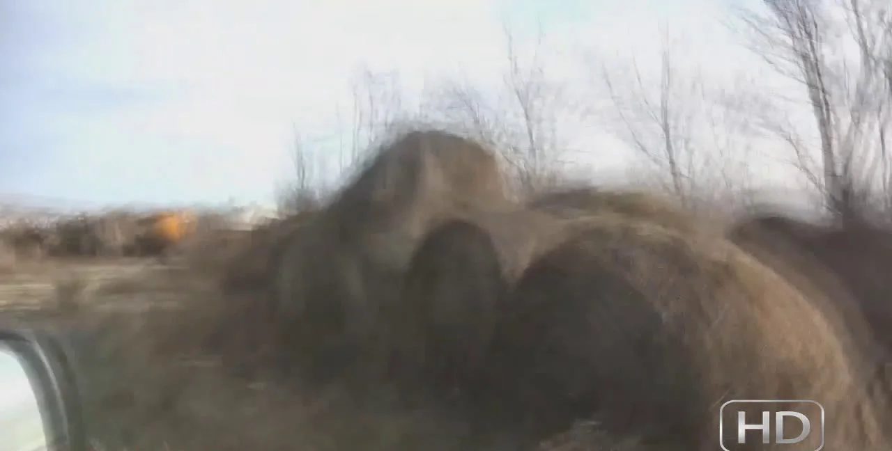 Download Defecation - How to poop from a car - Now this woman will show you, Big Ass, Shitting ShitWorld.net