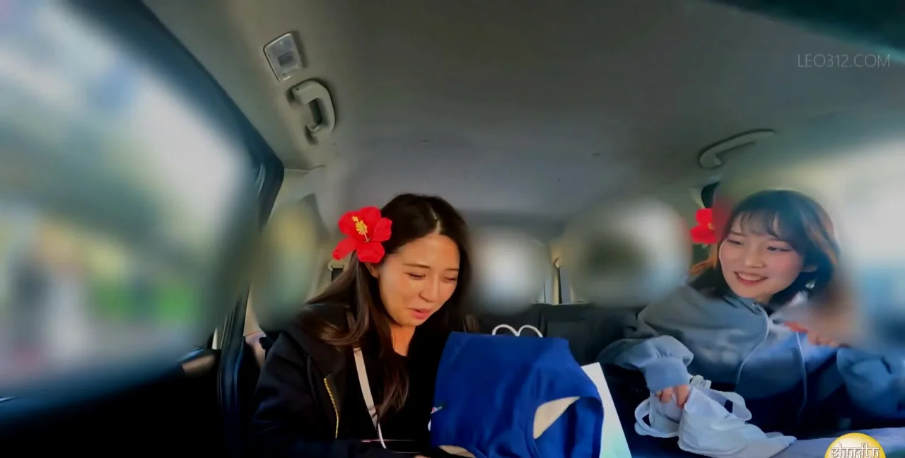 SL-612 - Shameful Pooping in Travel Car Trip PART-5, China, Defecation