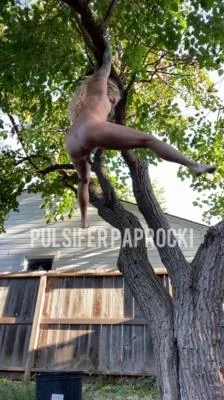 Hanging Tree Poop HD 720p / 19.7 MB