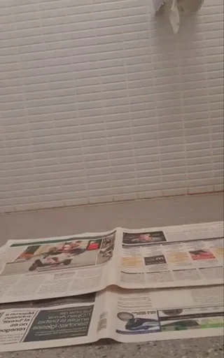 Download SweetLily84 - 4 AT Poop WORK on the newspaper, Shiting Ass, Scat ShitWorld.net