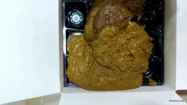 Poop in a cardboard box FullHD 1080p / 2.16 GB