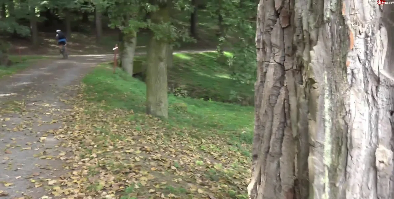 Extrem gewagt, Sex in Public!, HomeMade, Anal