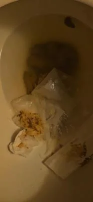 Flushes shit down the toilet UltraHD 4K / 9.00 MB