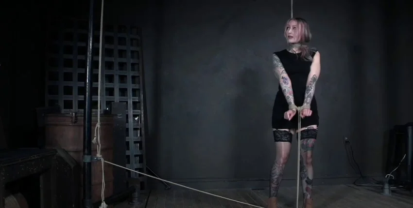 Rose Quartz - Willpower, Suspension, Stockings