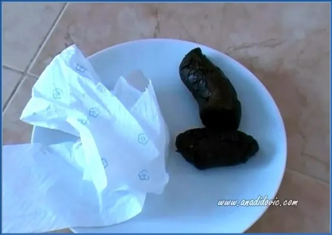 Download Ana Didovic - Nice Plating, Anal Domination ShitWorld.net