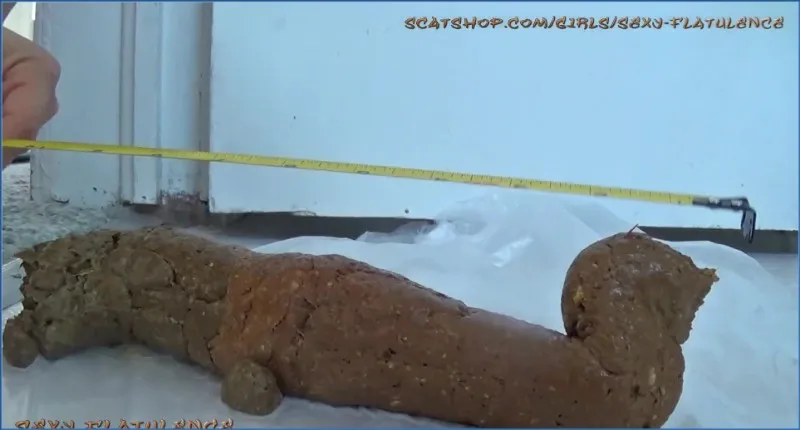 Download Daring Diarrhea - SexyFlatulence in Monster Log ShitWorld.net