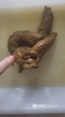 Toilet Pov - Hoy He Hecho Este Delicioso Pastel De Mierda UltraHD 2K / 66.2 MB