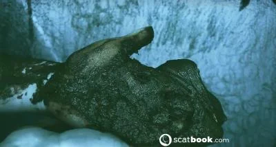 I CAN touch YOU with IT! HD 720p / 197.27 MB