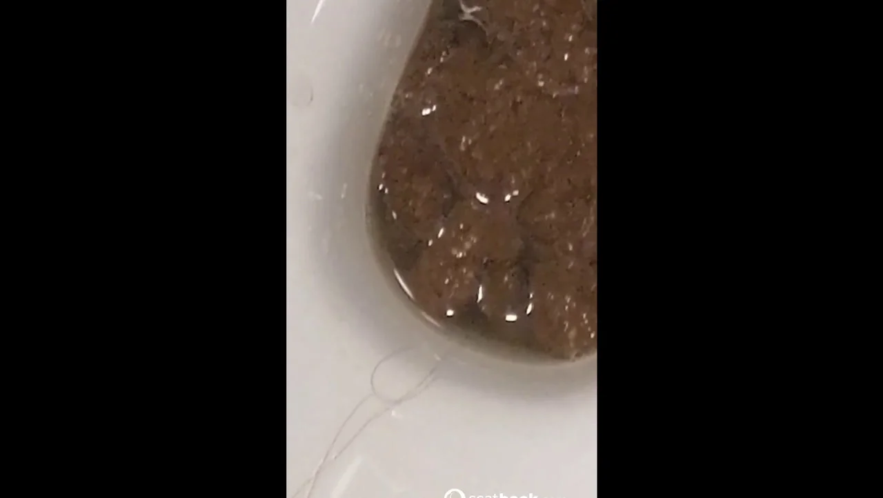Download Scatlina - The slave eats her master's shit from the toilet, Masturbation, Vomit ShitWorld.net