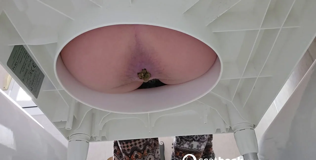 Download Miss Lith - Pooping After 2 Days Without Doing It, Toilet Slavery, Domination ShitWorld.net