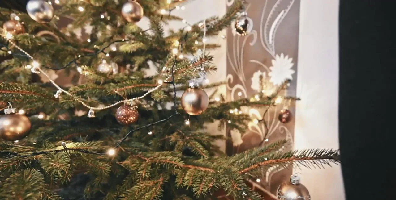 Download Mia Skye, MiaRoxxx - It's Getting Xmas 2, Germany, Dirty Anal ShitWorld.net