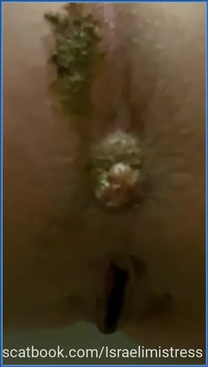 Download Best Lunch for My Toilet Bitches, Dominating Pissing clip - Mistress Jardena SD ShitWorld.net