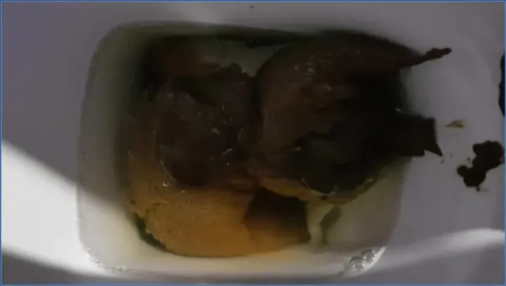 Download Thefartbabes - Take Your Xmas Shit, Fart ShitWorld.net