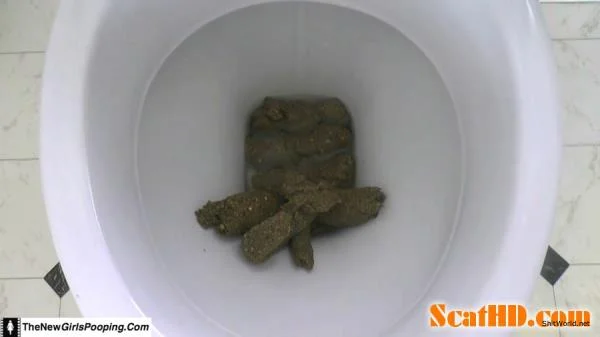 ShitGirl - Toilet Destroyed In 5 Mins FullHD 1080p / 471 MB
