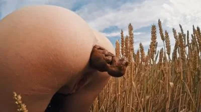 HUGE Summer Field Poop HD 720p / 24.0 MB Download / Online