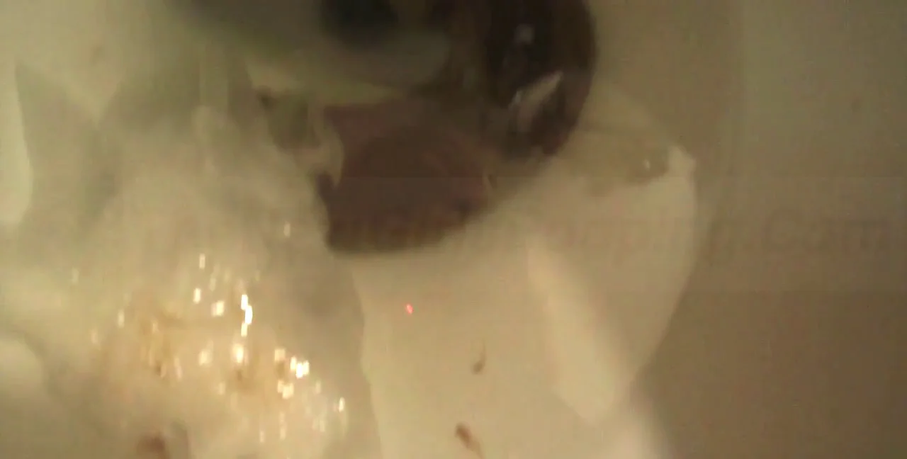 Download Josie - Straddles, Peeing, Toilet ShitWorld.net