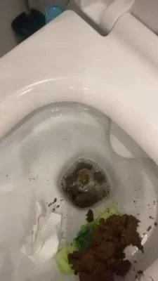 Watch Daily portion of shit for my bitches SD / 12.2 MB Online