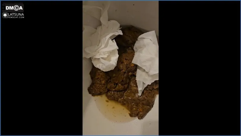 Download Toilet Miracle - Lady Tsunam, German Kaviar, Scatology ShitWorld.net