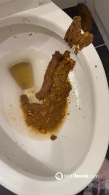 Watch Bossys Bathroom Blunder A Splattered Catastrophe SD / 9.86 MB Online