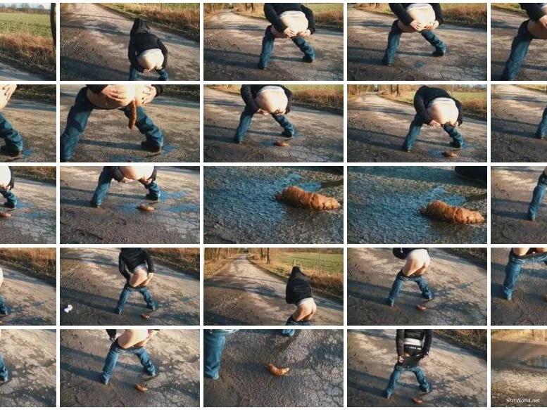 Watch German Countryside Poop HD 720p / 31.8 MB Online