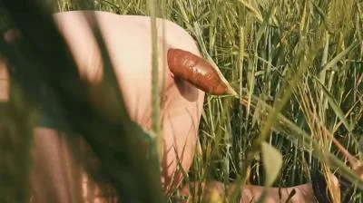 Watch Doggystyle Shit In a Field HD 720p / 36.0 MB Online