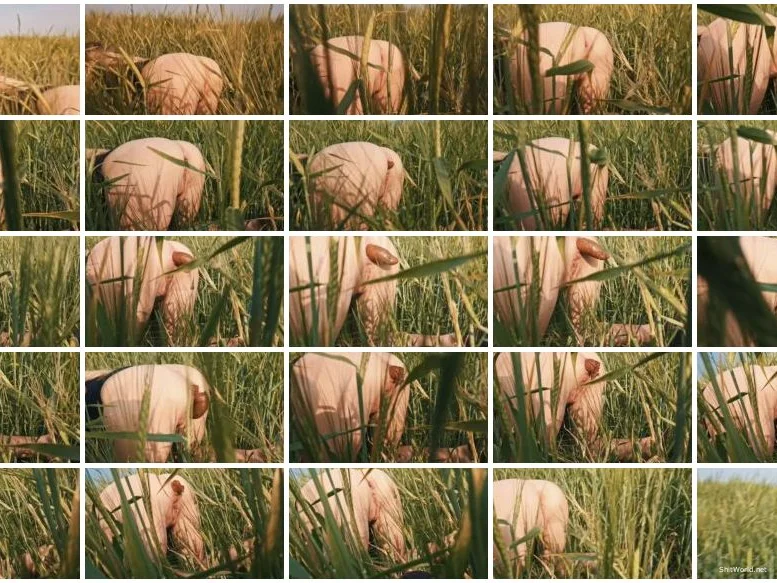 Watch Doggystyle Shit In a Field HD 720p / 36.0 MB Online