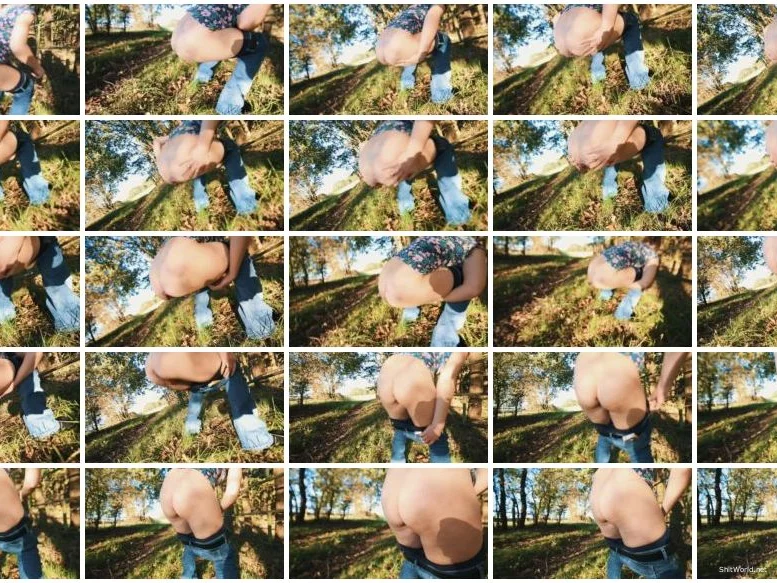 Watch Summer Outdoor Poop HD 720p / 21.5 MB Online