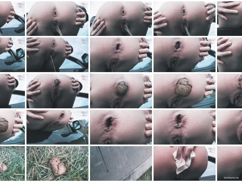 Watch Car Piss And Shit HD 720p / 16.5 MB Online