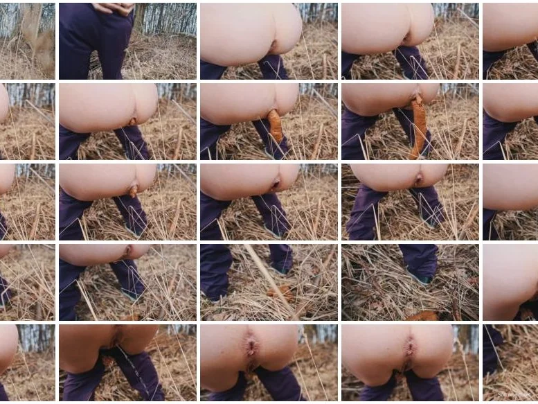 Watch Long Outdoor Snake HD 720p / 25.2 MB Online