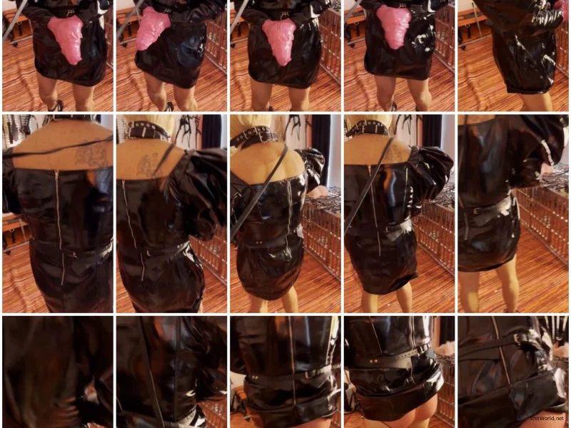 Watch Shit For BDSM And Fetish Lovers 27 SD / 11.5 MB Online